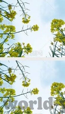 在线亚洲视频中文字幕-探索在线亚洲视频中文字幕的多元魅力与文化桥梁